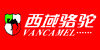 西域骆驼