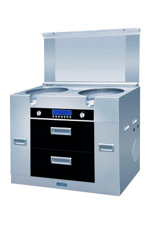 奥德赛A62集成环保灶