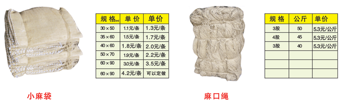 �¾�������鲼������
