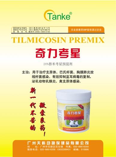 20%���׿���Ԥ���