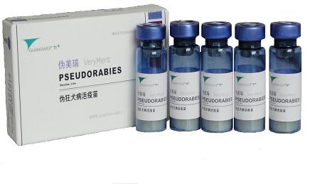 ��α��Ȯ����