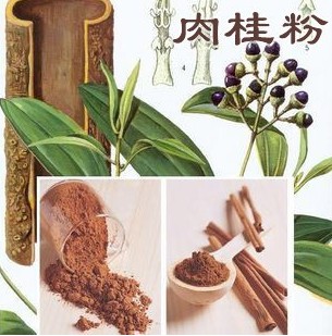 天然肉桂粉