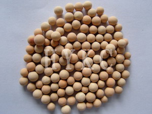 陶粒