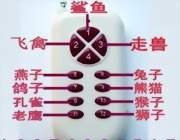 2TG森林舞会遥控器,双赢,成都大白鲨遥控器