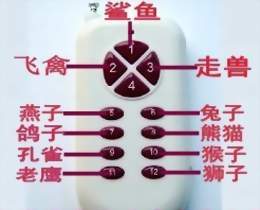 智商云南海洋之星加分器,徐州大白鲨遥控器