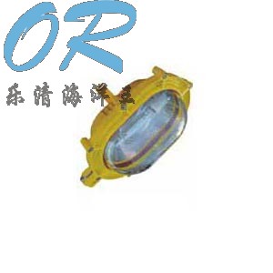 BFE8120 内场防爆应急灯