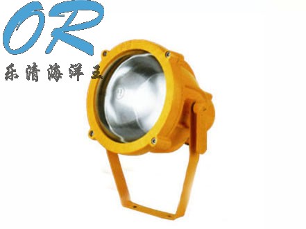 BTC8200/BTC8200A 防爆投光灯