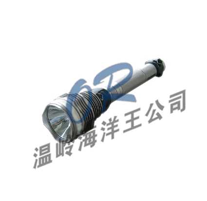 ӦOR-JIW5600ǿֵ̽