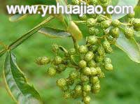 新疆花椒,新疆花椒砂仁批发