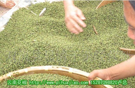 青海花椒,青海花椒砂仁批发