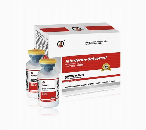 �¹�����-������