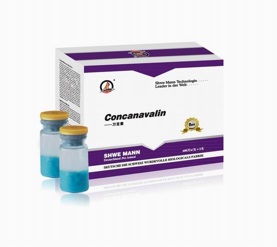 �¹�����-������