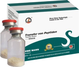 �¹�����-����6����