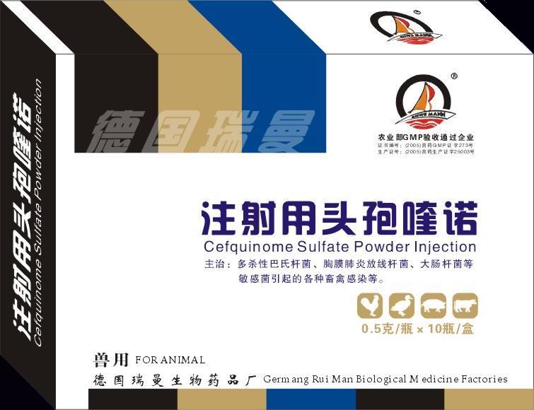 ע����ͷ���ŵ�������ͷ��룩