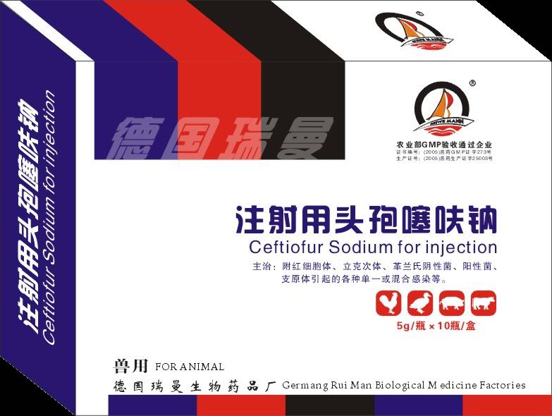 �¹�����-ͷ����߻�Ʒ���