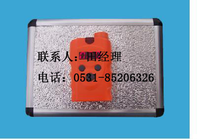 手持式氨气泄露报警器-PPM-LEL-RBK6000