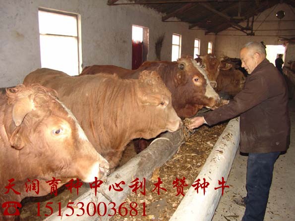ںţӱ