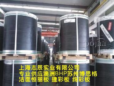 Ӧ޲˼ʸְ||ݲʰ|пͰ|BHP