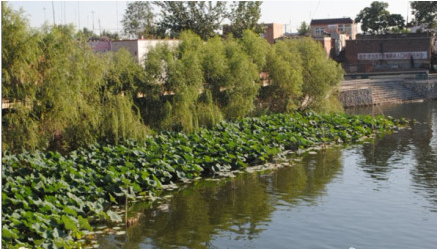 ��̬����