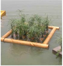 �˹�����������