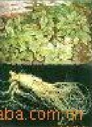 �˲���ȡ��-�˲���߰