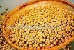 大豆提取物-大豆异黄酮