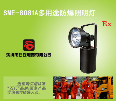 便携式防爆应急工作灯,轻便移动泛光灯,强光工作灯