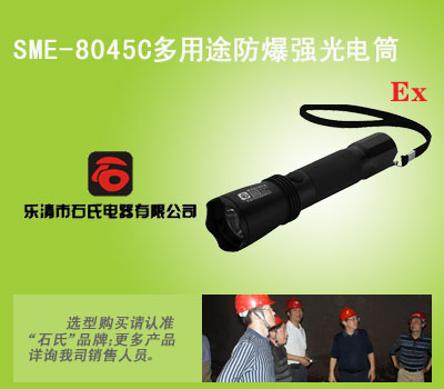 微型节能强光电筒,防水防爆强光灯,微型防爆电筒