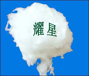 �մ���ά�� ��������ά�� ˦˿�� �紵��