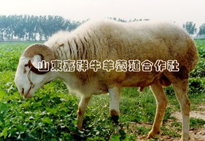 2011＾ţ۸ţ۸