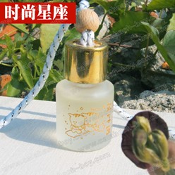 十二星座精油挂饰双子座