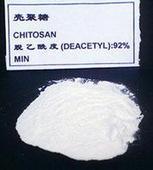 壳聚糖 壳聚糖厂家直销