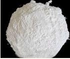 印度树胶 印度树胶厂家直销