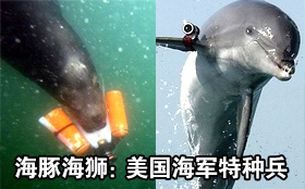 中国品牌总网_图片欣赏