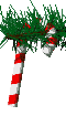 йƷ_ͼƬ