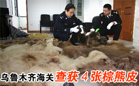 中国品牌总网_欣赏图片