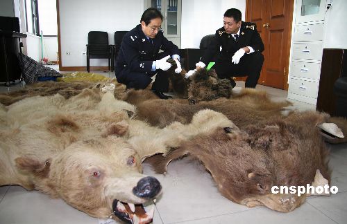 中国品牌总网_欣赏图片