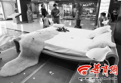 中国品牌总网_图片欣赏