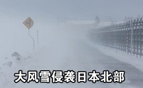 中国品牌总网_欣赏图片