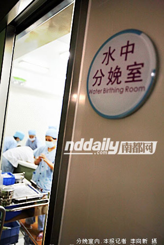 中国品牌总网_欣赏图片