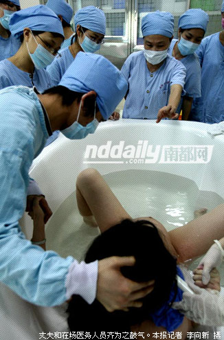 中国品牌总网_欣赏图片
