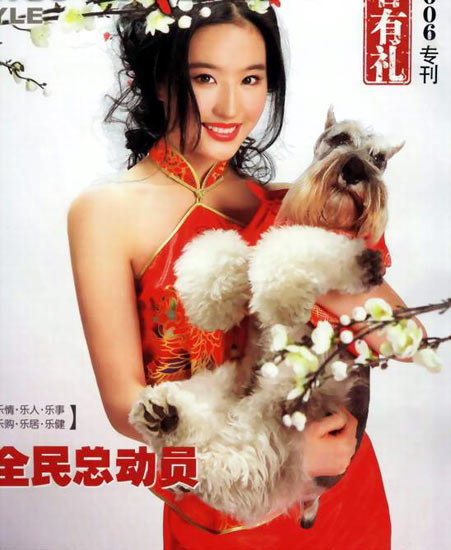 中国品牌总网_欣赏图片