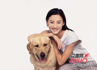 中国品牌总网_欣赏图片