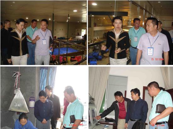 Ʒ������������ͼƬ