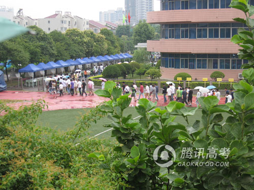 品牌总网-欣赏图片
