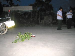 中国品牌总网_欣赏图片