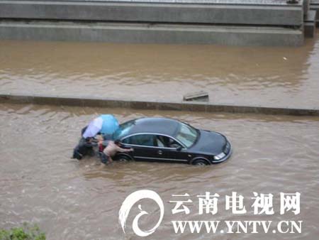 中国品牌总网-图片欣赏
