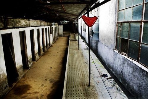  母爱-地震></p></a>获华赛年度最佳新闻照片奖