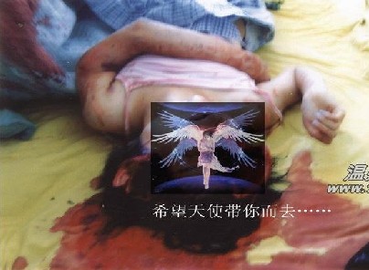 中国品牌总网-欣赏图片