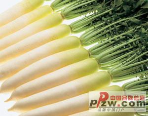 中国品牌总网-欣赏图片